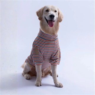 PawStar 26766 Kiremit Marseille Softline Büyük Irk Sweat