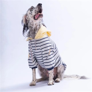 PawStar 26769 Sarı Seattle Pitch Büyük Irk Hoodie