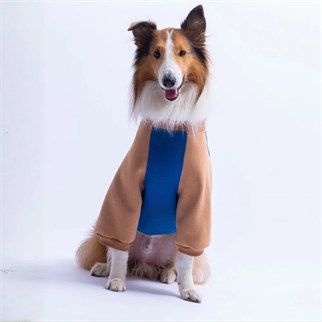 PawStar 26789 Saks Mavi Boston Pawstar Büyük Irk Sweat