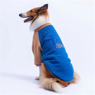PawStar 26789 Saks Mavi Boston Pawstar Büyük Irk Sweat