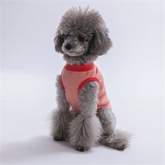 PawStar 26803 Pembe All Good Days Tişört