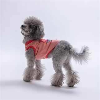 PawStar 26803 Pembe All Good Days Tişört