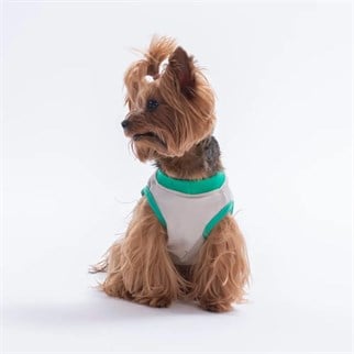 PawStar 26810 Gri Good Vibes Tişört