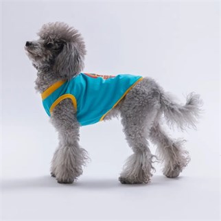 PawStar 26811 Turkuaz Good Vibes Tişört