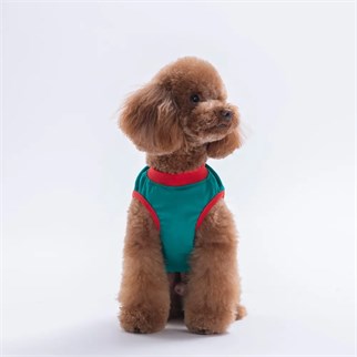 PawStar 26812 Yeşil Good Vibes Tişört