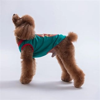 PawStar 26812 Yeşil Good Vibes Tişört