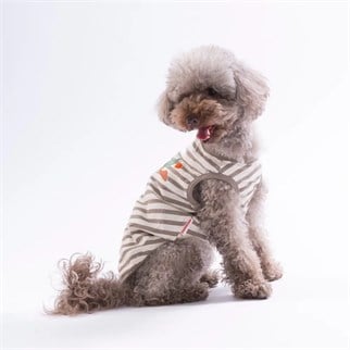 PawStar 26813 Cactus EmbroLine Tişört