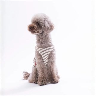 PawStar 26813 Cactus EmbroLine Tişört