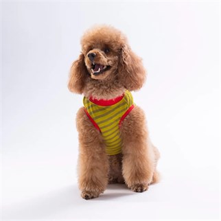 PawStar 26816 Lobster EmbroLine Tişört