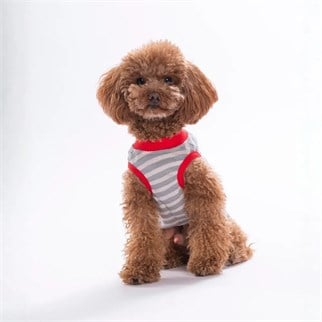 PawStar 26817 Umbrella EmbroLine Tişört