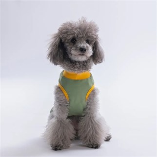 PawStar 26823 Yeşil Just Smile Tişört