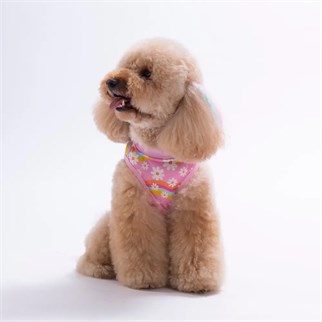 PawStar 26827 Daisy Tişört