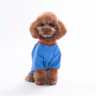 PawStar 26901 Mavi Ducks Pijama Tulum