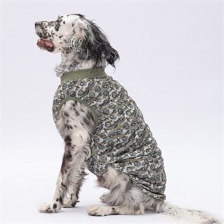 PawStar Air Army T-Shirt Büyük Irk