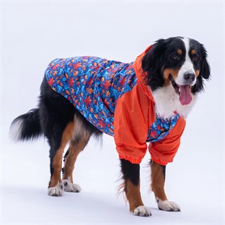 PawStar Amsterdam Fall Büyük Irk Yağmurluk