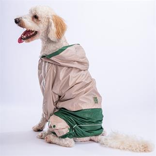 PawStar Bej - Yeşil  BiColar  Büyük Irk Yağmurluk