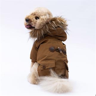 PawStar Camel Charles Yağmurluk Küçük ve Orta Irk