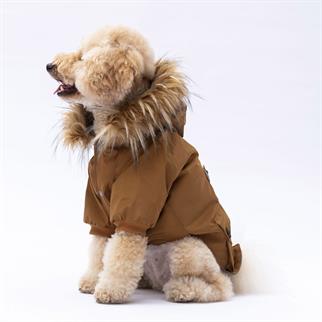 PawStar Camel Charles Yağmurluk Küçük ve Orta Irk