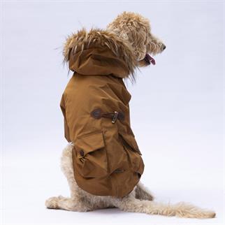 PawStar Camel Chrles Büyük Irk Yağmurluk