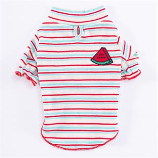PawStar Cocomero Küçük ve Orta Irk Sweat
