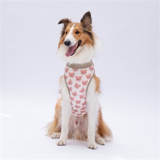 PawStar Cute Bears T-Shirt Büyük Irk