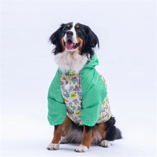 PawStar Denver Dino Büyük Irk Yağmurluk