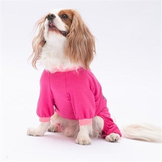 PawStar Donut Worry Pijama Tulum