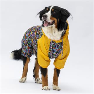 PawStar 24555 Ferrara Büyük Irk Tulum Yağmurluk