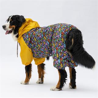 PawStar 24555 Ferrara Büyük Irk Tulum Yağmurluk