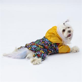 PawStar Ferrara Overalls Raincoat Small and Medium Breeds