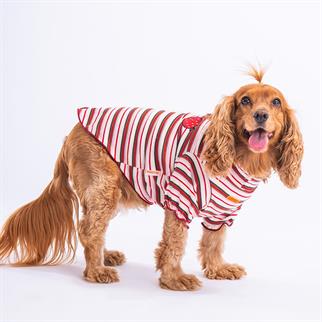 PawStar Fragola Small and Medium Breed Sweat