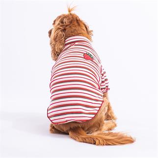 PawStar Fragola Small and Medium Breed Sweat