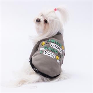 PawStar Füme Loviisa Sweat Küçük ve Orta Irk