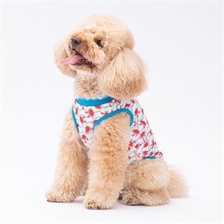 PawStar Fun Crabs  T-Shirt Küçük Irk