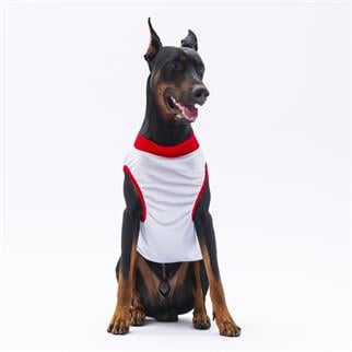 PawStar Gri Summer Büyük Irk T-Shirt