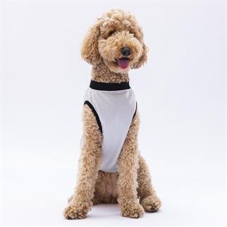 PawStar Gri Travel Büyük Irk T-Shirt