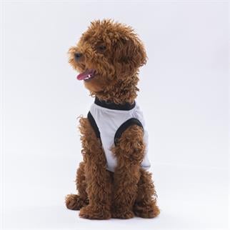 PawStar Gri Travel T-Shirt
