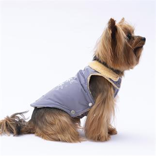 PawStar Gri Yukon Kolsuz Yelek Küçük ve Orta Irk