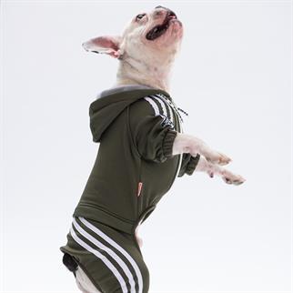 PawStar Khaki Tuta Overalls Small and Medium Breed