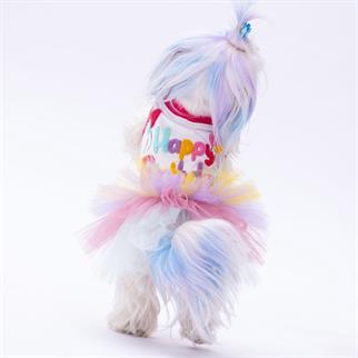 PawStar Happy Birthday Elbise