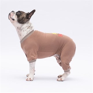 PawStar Happy Teddy Bear Pijama Tulum