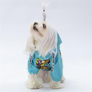 PawStar Hollywood Yağmurluk Küçük ve Orta Irk