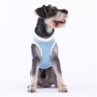 PawStar Ice Blue Lazy T-Shirt