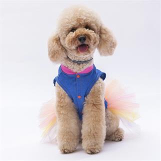 PawStar Ice Cream Elbise