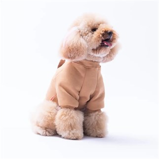 PawStar Kahverengi Dublin Hopper Sweat