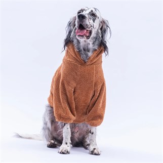 PawStar Kahverengi Lucca Teddy Büyük Irk Hoodie