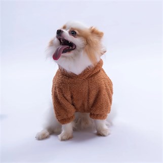 PawStar Kahverengi Lucca Teddy Hoodie Küçük ve Orta Irk