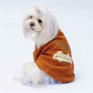 PawStar Kiremir Alaska Sweat Küçük ve Orta Irk