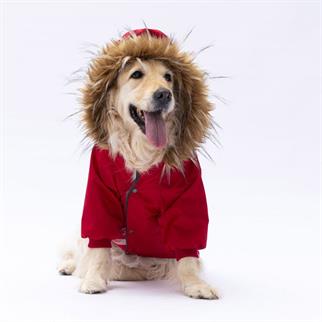 PawStar Kırmızı Charles Büyük Irk Yağmurluk Mont