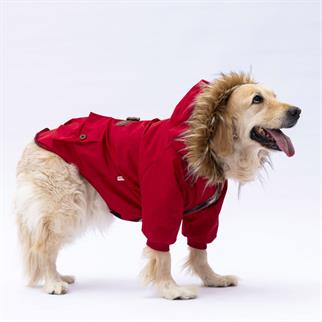 PawStar Kırmızı Charles Büyük Irk Yağmurluk Mont